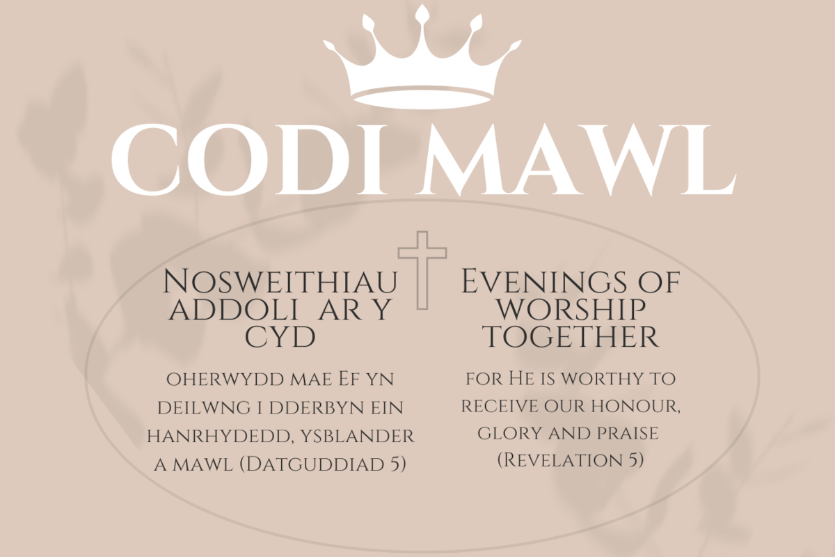 Codi Mawl